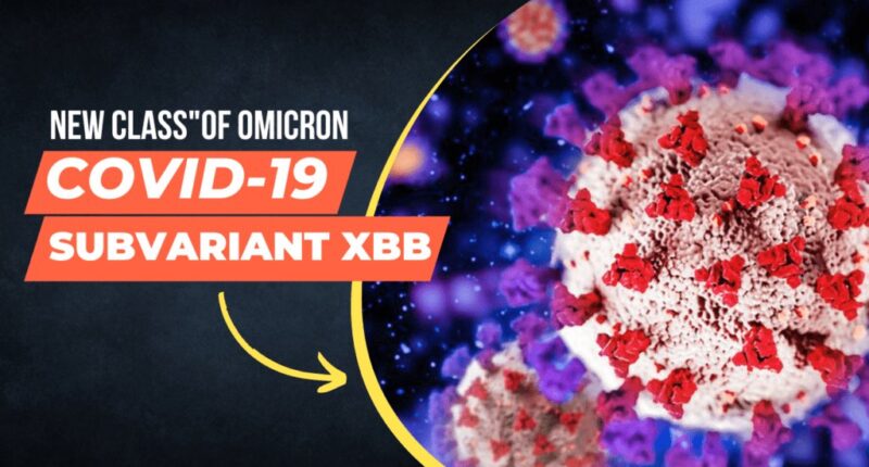 COVID-19 Subvariant XBB Is a "New Class" of Omicron