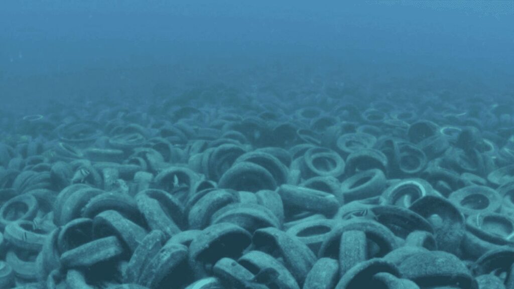 A group shares scary pictures of a man-made reef disaster off the coast of Florida “500,000 tires were left on the bottom of the ocean.”