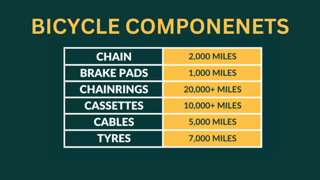 Bicycle Components.