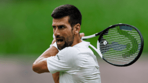 Novak Djokovic and Carlos Alcaraz will meet in the dream Wimbledon final.