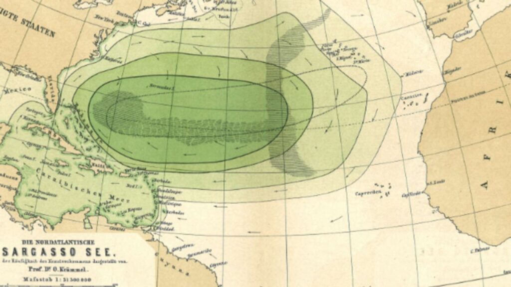 The North Atlantic Ocean is home to the Sargasso Sea.