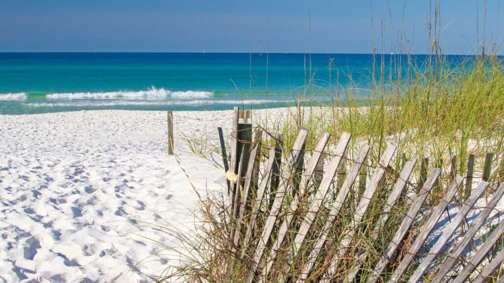 Henderson Beach in Florida, showcasing its beautiful sandy shores and clear waters on the Emerald Coast.