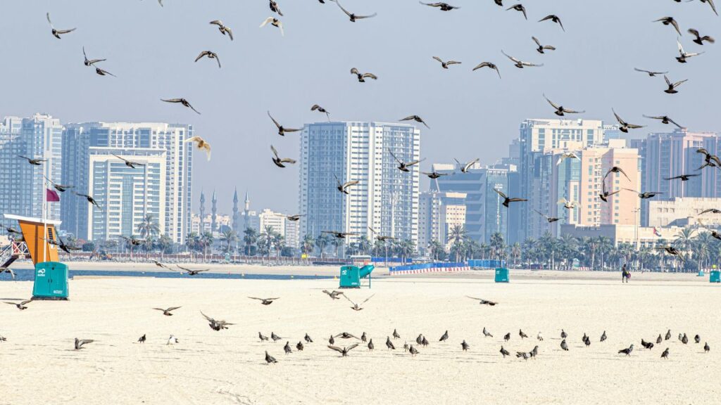 A vibrant view of JBR Beach in Dubai, showcasing its golden sands, crystal-clear waters, and the bustling promenade filled with visitors.