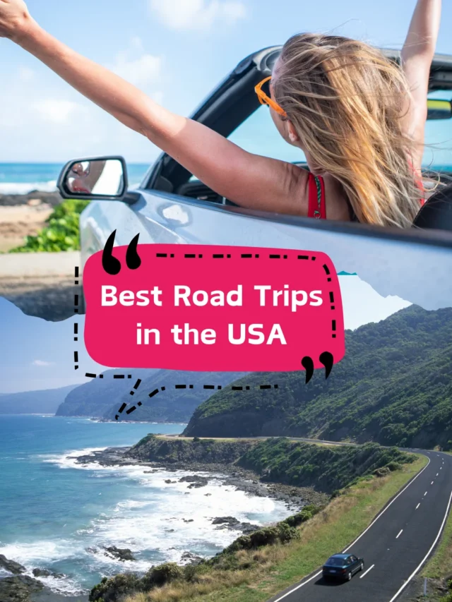 Top 10 Road Trips in Every State: The Top 10 Best Road Trips in the USA.